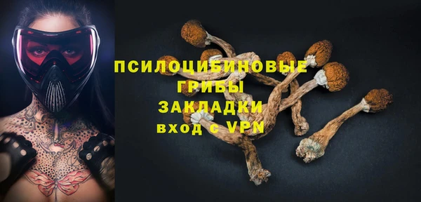 прущие крисы Богородицк