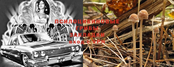 ГАЛЛЮЦИНОГЕННЫЕ ГРИБЫ Беломорск