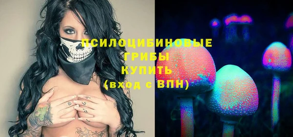 спиды Богородск