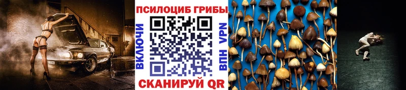 Псилоцибиновые грибы Psilocybine cubensis  Бирюсинск 